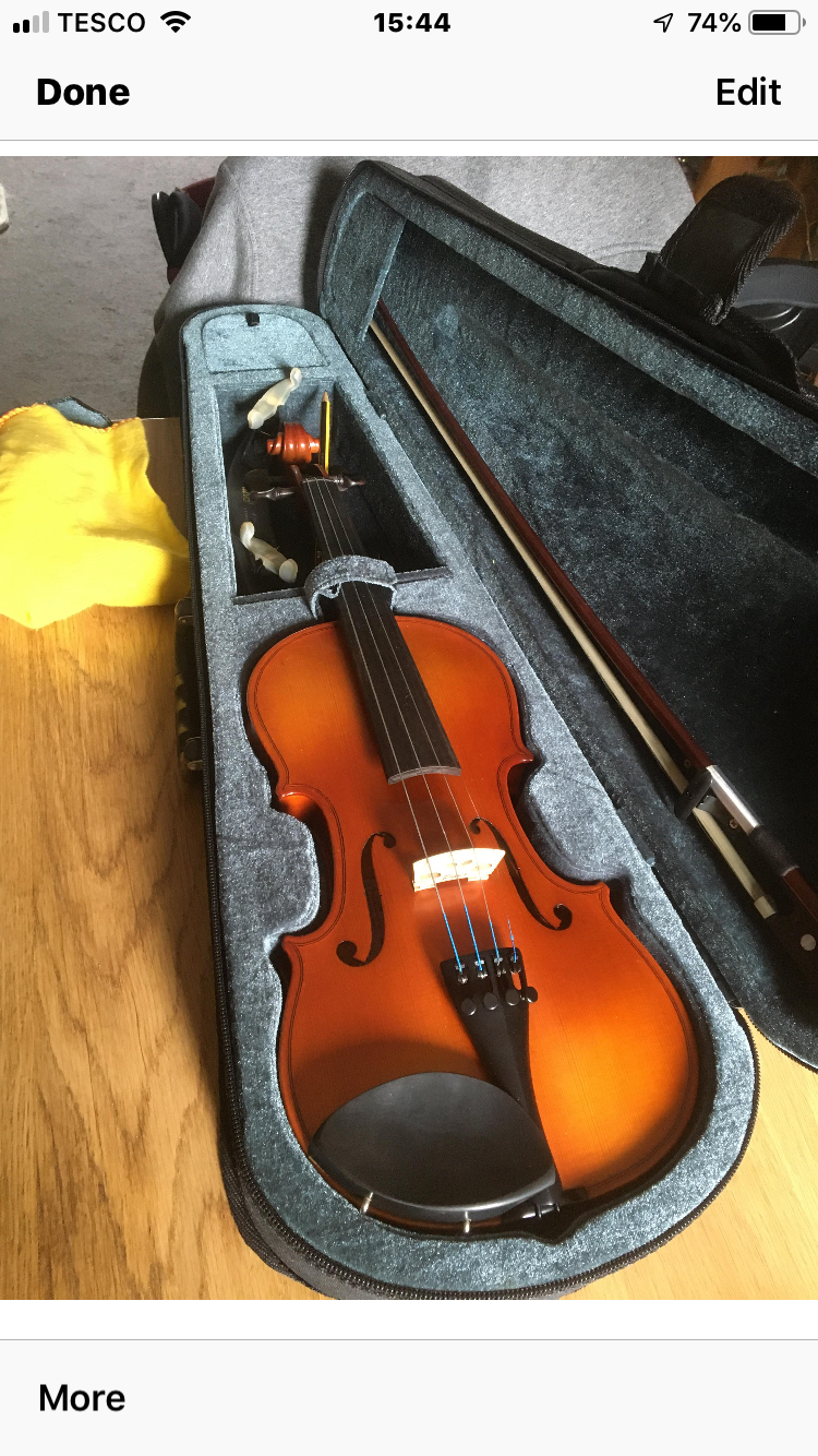 Violin