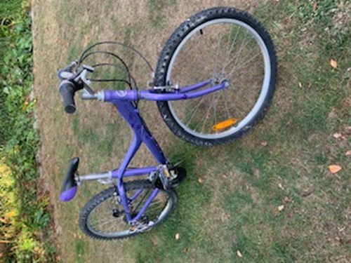 Purple Giant Taffy 225 child’s unisex mountain bike. 22.5” wheels and 12.5” stem. 15 gears. Eastbourne 17-08-20