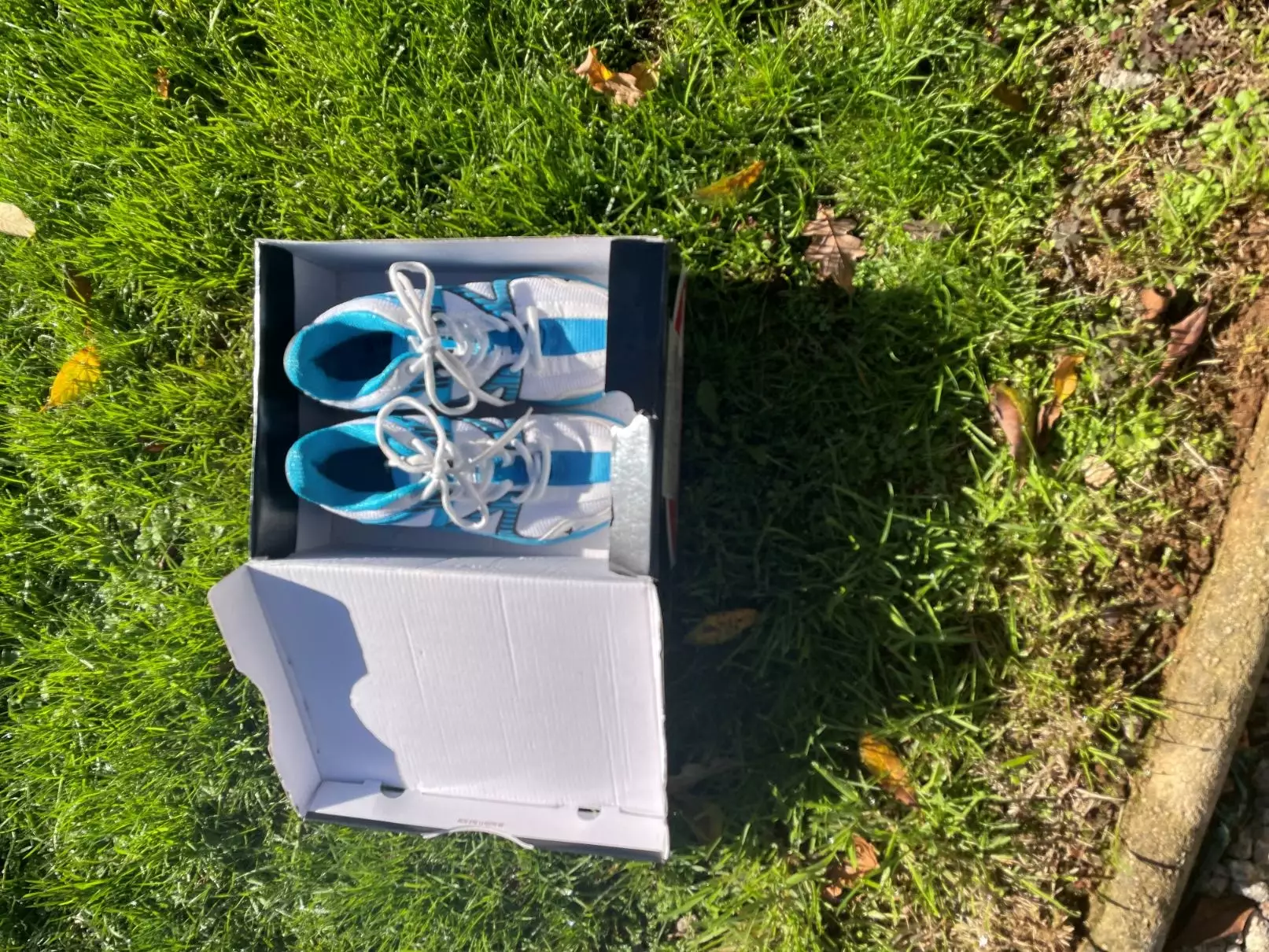 Gray Nicolls Shoes 